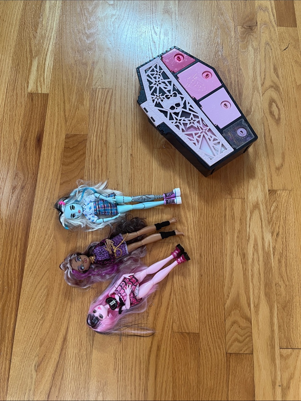 monster high dolls playset with pink and black coffin case